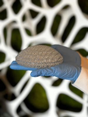 CollPlant and Stratasys Initiate Pre-Clinical Study for 3D Printed Regenerative Breast Implants