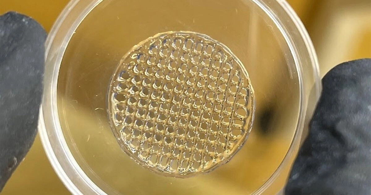 Revolutionizing Cosmetics: How 3D-Printed Skin Could Eliminate Animal Testing