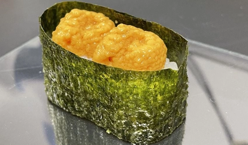 3D Printed Sushi: The Future Food for Space Travelers?