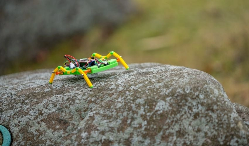 Exploring Innovation: Dr. Markus Nemitz Discusses 3D Printing and Swarm Robotics