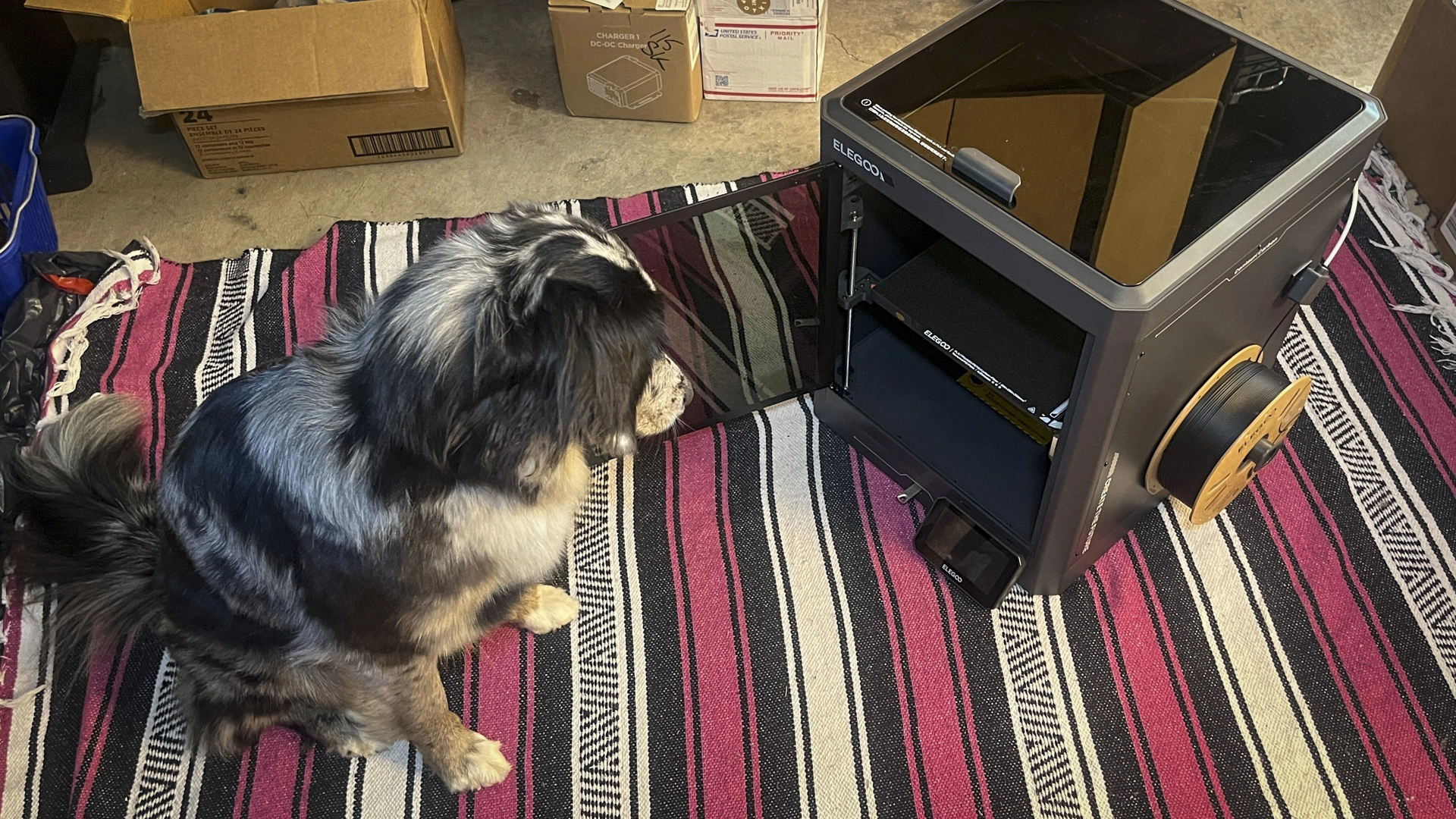 From Hobby to Innovation: My Journey with a $300 3D Printer Making Custom Car Parts