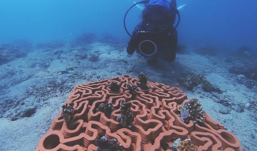 Abu Dhabi Teams Up with Archireef to Revolutionize Coral Reef Restoration Through 3D Printing