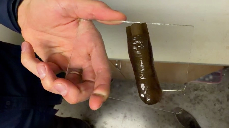 UT Austin Unveils Groundbreaking 3D Printing Technology for Realistic Prosthetic Bodies